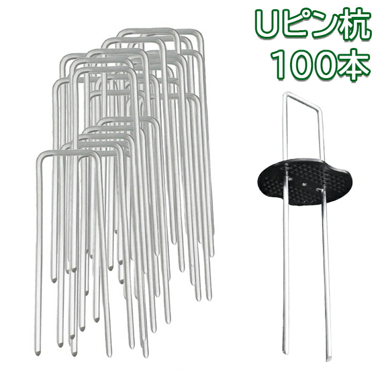 y812618.jpg