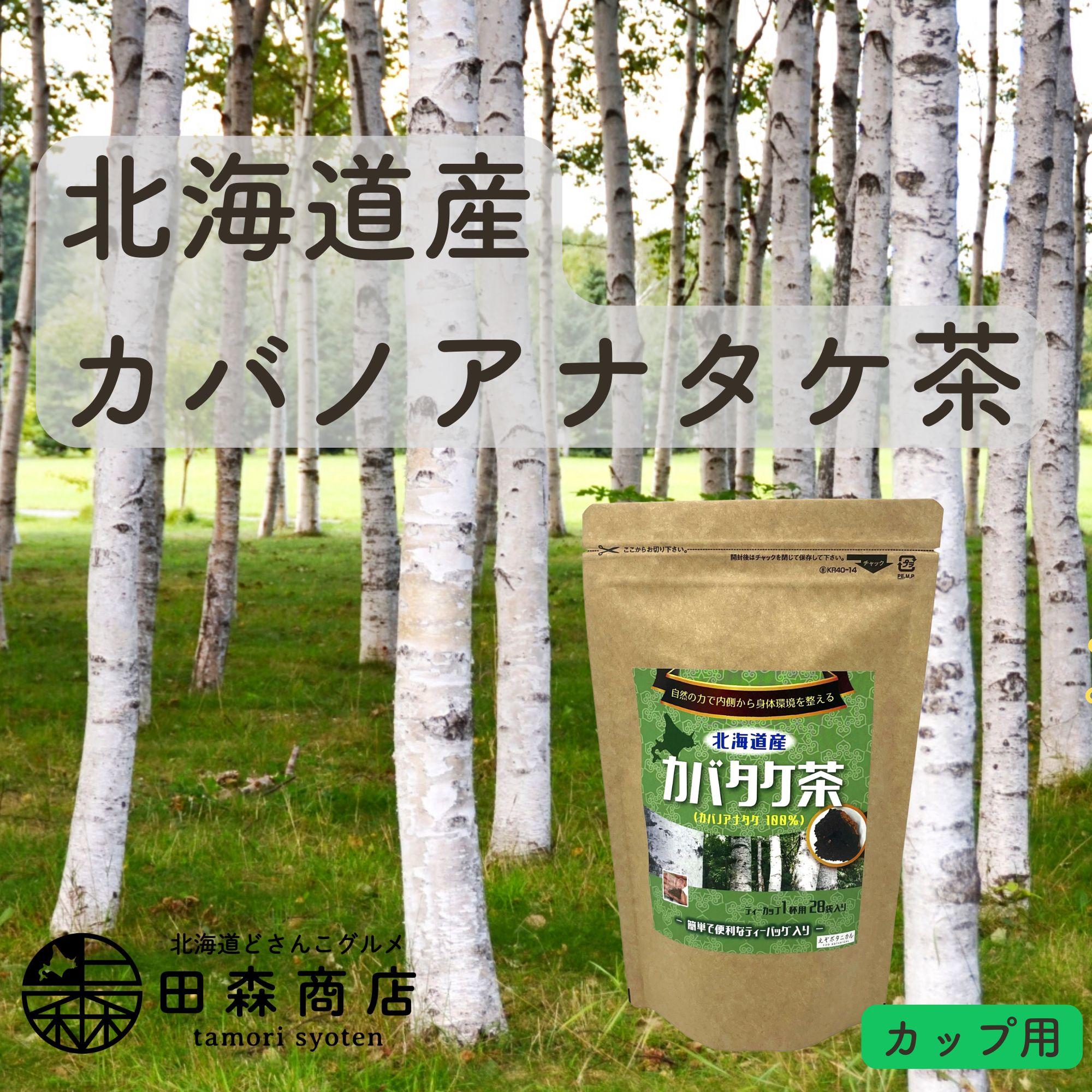 国内正規□ カバノアナタケ 10kg 北海道産 乾燥済み 天然 | www