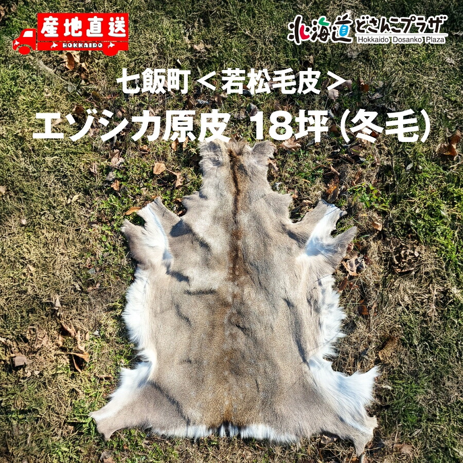 産地出荷「七飯町　若松毛皮　エゾシカ原皮 18坪（冬毛）」送料込 北海道 道南 鹿 シカ 毛皮
