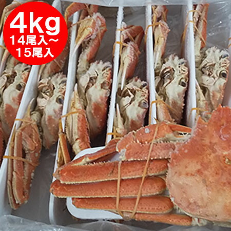 随時発送中 北海道 オオズワイガニ ボイル かに 姿 送料無料 オオ　ズワイガニ 姿 14尾 ～ 15尾入り ズワイガニ姿 合計4kg前後 カニ 蟹 かに 北海道 魚介類 水産加工品 カニ ずわい