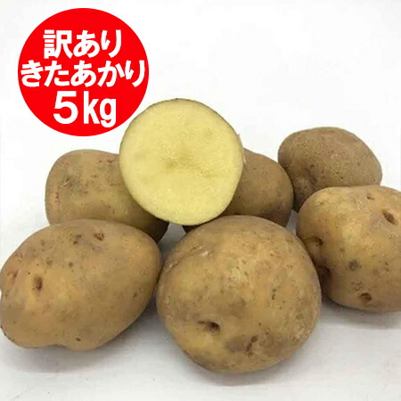 楽天市場】随時発送中 北海道 じゃがいも デストロイヤー 北海道産