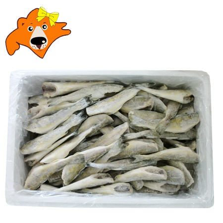 北海道産 こまい 送料無料 氷下魚 業務用 こまい 40尾～50尾入 L～2Lサイズ 一夜干し コマイ 冷凍 魚介類 水産加工品 干物 こまい