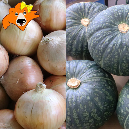 楽天市場 野菜セット かぼちゃ 10kg 送料無料 玉ねぎ 10kg 計kg 価格60円 詰め合わせ 北海道産 カボチャ たまねぎ 南瓜 玉葱 北海道 ギフト タネ 実 蔵本舗