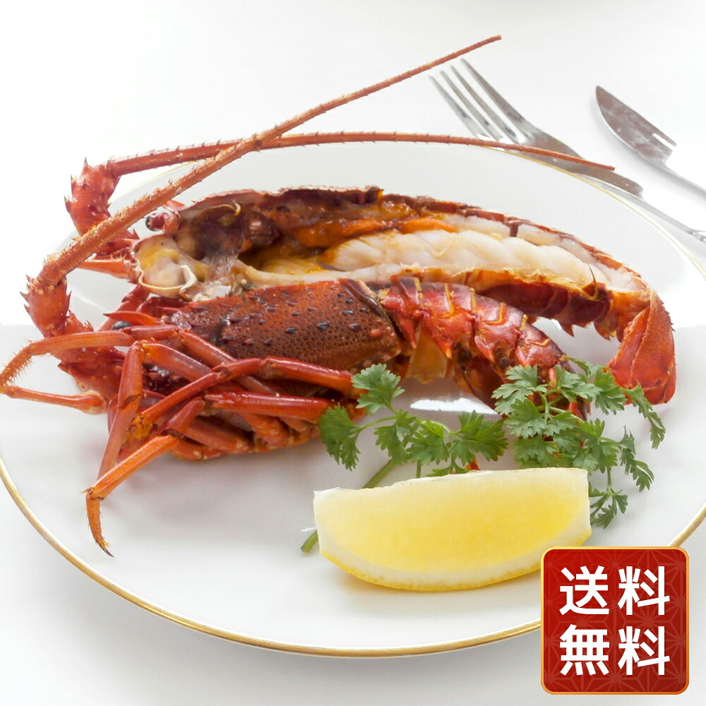 伊勢海老 えび 冷凍 ギフト 徳島 吟月 伊勢海老ステーキ B 送料無料 お年賀 シイレル 食品ギフト お取り寄せグルメ 子供の日 母の日