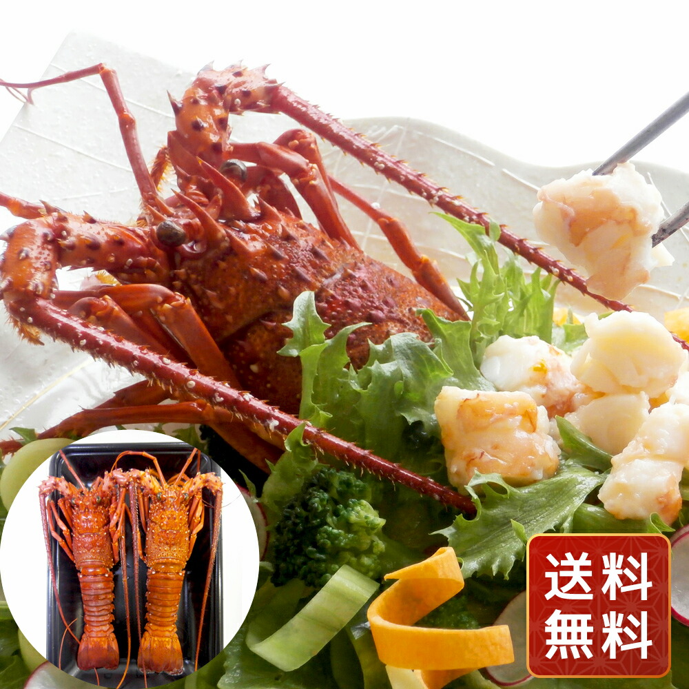 伊勢海老 えび 冷凍 ギフト 徳島 吟月 伊勢海老の塩蒸し 送料無料 お年賀 シイレル 食品ギフト お取り寄せグルメ 子供の日 母の日