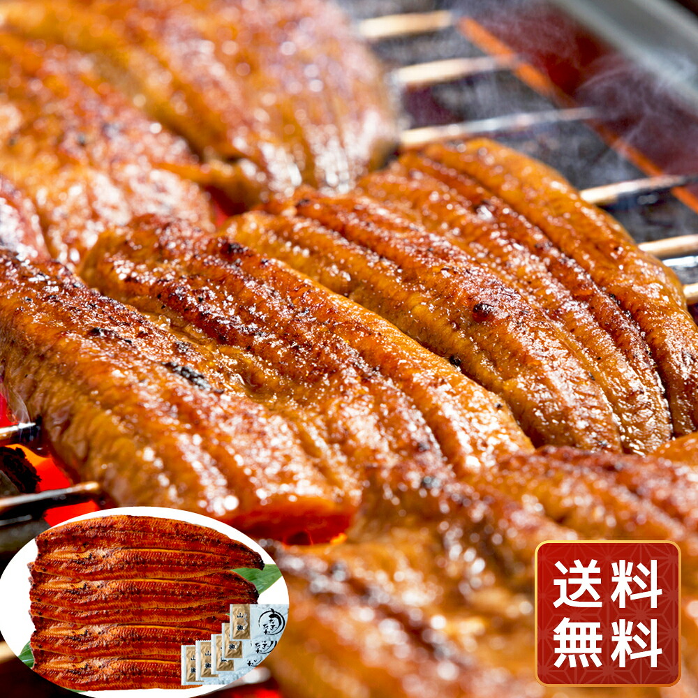 うなぎ 国産 うなぎ 5尾 うなぎ 蒲焼 うなぎ 国産 ギフト 生産者限定 宮崎県産うなぎ蒲焼 送料無料 シイレル 食品ギフト お取り寄せグルメ 子供の日 母の日