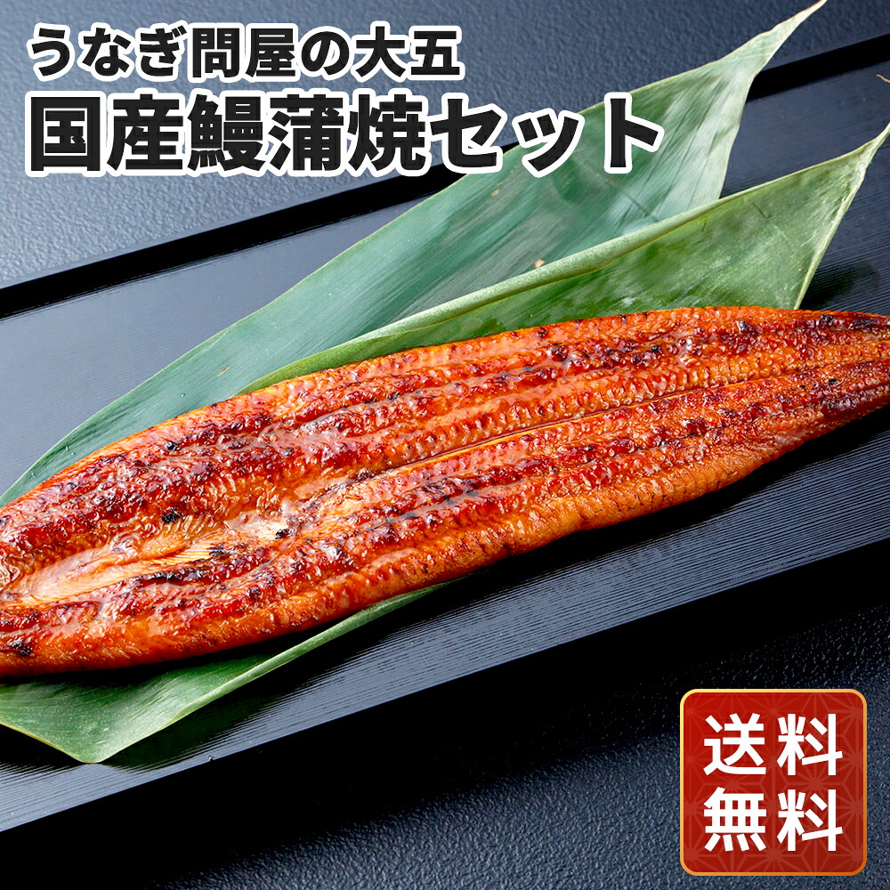 うなぎ 冷凍 うなぎ お取り寄せ 国産 鰻 蒲焼 詰め合わせ 鰻 6尾 うなぎ問屋の大五 国産鰻蒲焼セット 送料無料 シイレル 食品ギフト お取り寄せグルメ 子供の日 母の日 17,850円