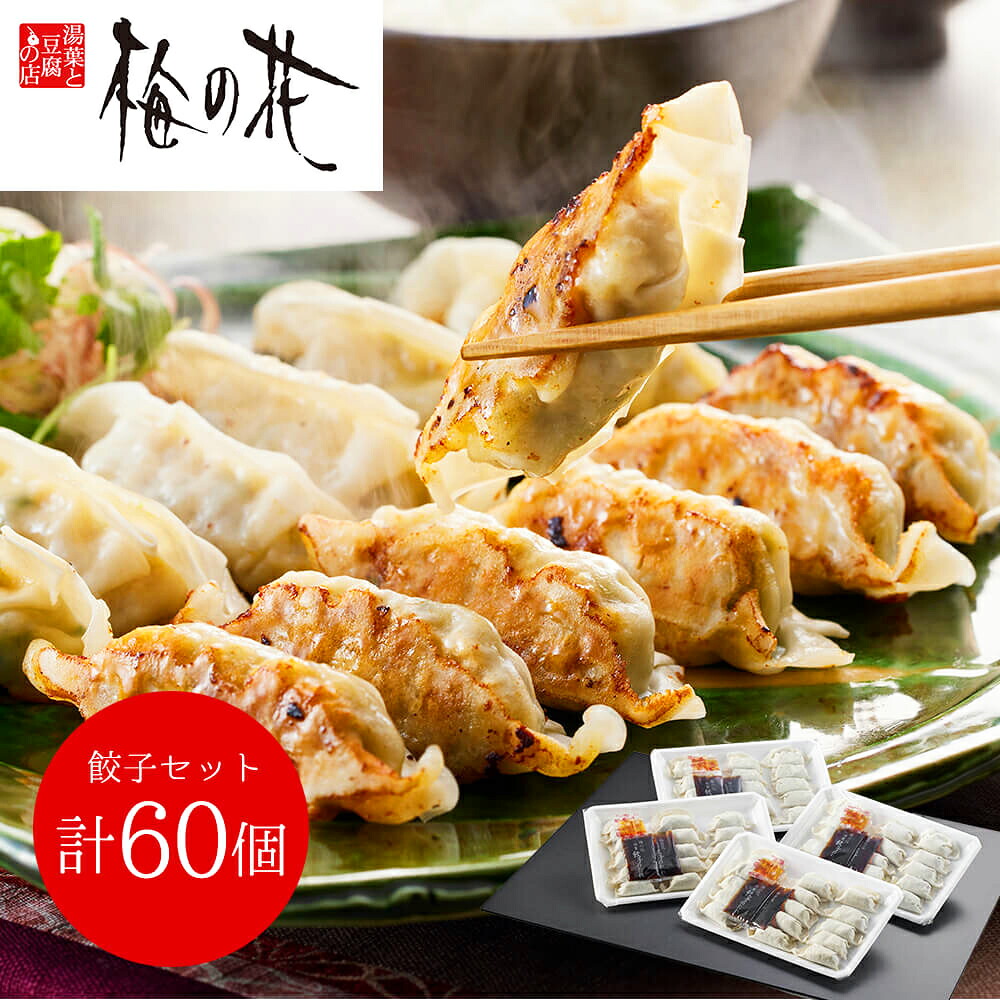 梅の花 餃子セット計60個 贈答用 ギフト用 お取り寄せ 人気 おすすめ 特価 お年賀 餃子セット シイレル 食品ギフト お取り寄せグルメ 子供の日 母の日