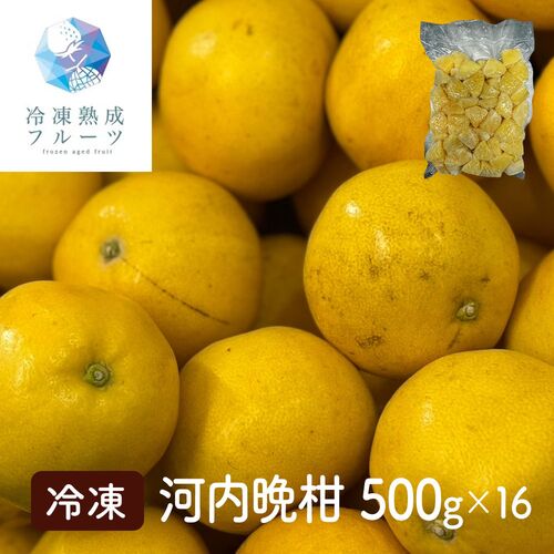河内晩柑 500g×16パック 冷凍フルーツ デザート みかん ミカン オレンジ 国産 シイレル 贈答用スイーツ 詰め合わせ 子供の日 母の日