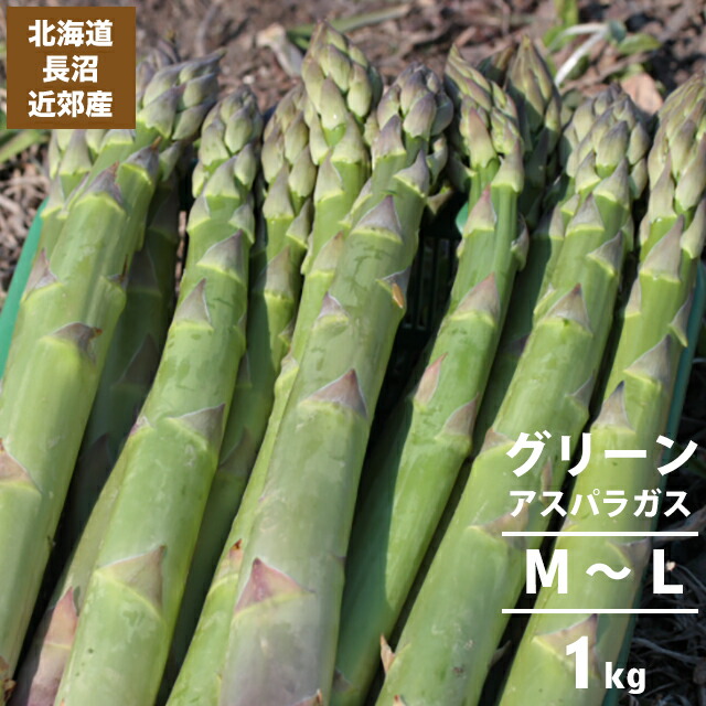楽天市場】【今季出荷中】送料無料 北海道産 アスパラガス L-2L