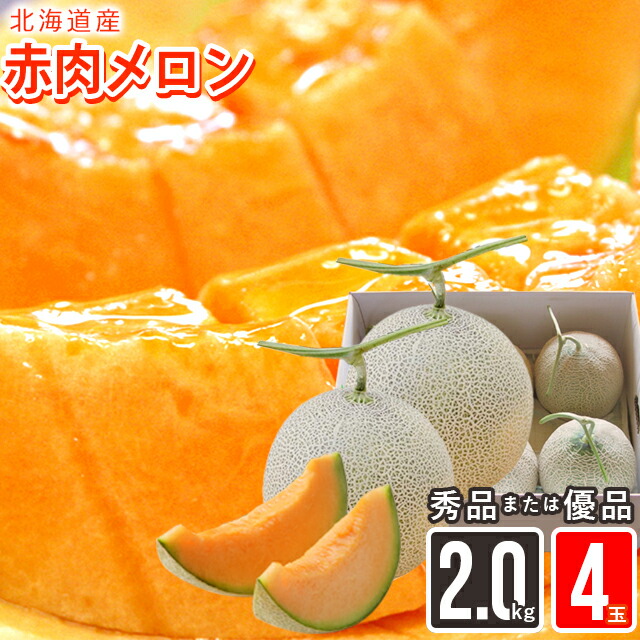 市場】2022年ご予約承り中 7月出荷開始メロン ギフト送料無料 北海道産赤肉メロン 約2.0kg×1玉(優品または秀品)【北海道産 メロン フルーツ 果物 産地直送 内祝い 御祝い お返し 御挨拶】 : ギフト&グルメ北海道 市場】2022年ご予約承り中 7月出荷開始メロン ギフト送料無料 北海道産赤肉メロン 約2.0kg×1玉(優品または秀品)【北海道産 メロン フルーツ 果物 産地直送 内祝い 御祝い お返し 御挨拶】 : ギフト&グルメ北海道