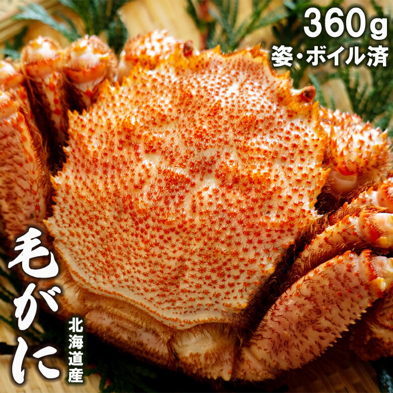 楽天市場】お歳暮 かに カニ ギフト北海道産 毛がに 1尾 360g(ボイル