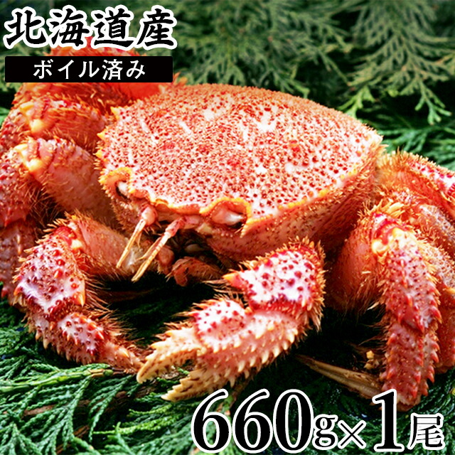かに カニ ギフト北海道産 毛ガニ 1尾 660g ボイル済み kowa 大注目