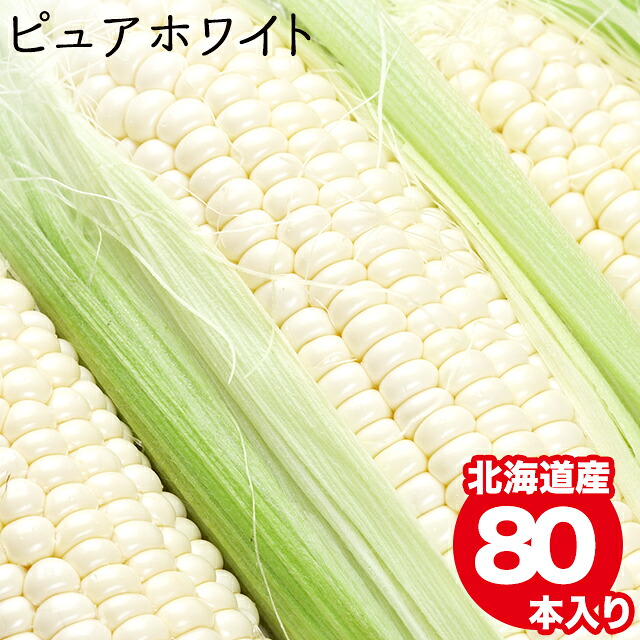 22年早期予約承り中 8月出荷開始とうもろこし 北海道 北海道産 ピュアホワイト