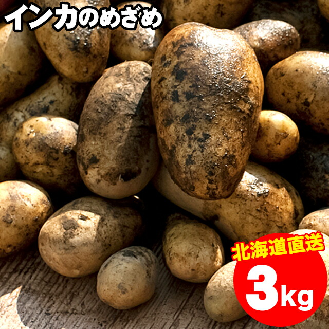 楽天市場 今季出荷開始中 越冬じゃがいも 送料無料 北海道産 インカのめざめ S 2l混合 1箱3キロ入り 3kg 3キロ 3kg インカの目覚め いんかのめざめ インカ 甘い 小さい ジャガイモ 新じゃがいも いも 薯 秋野菜 10 Off ギフト グルメ北海道 楽天市場 今季出荷開始中 越冬じゃがいも 送料無料 北海道産 インカのめざめ S 2l混合 1箱3キロ入り 3kg 3キロ 3kg インカの目覚め いんかのめざめ インカ 甘い 小さい ジャガイモ 新じゃがいも いも 薯 秋野菜 10 Off ギフト グルメ北海道