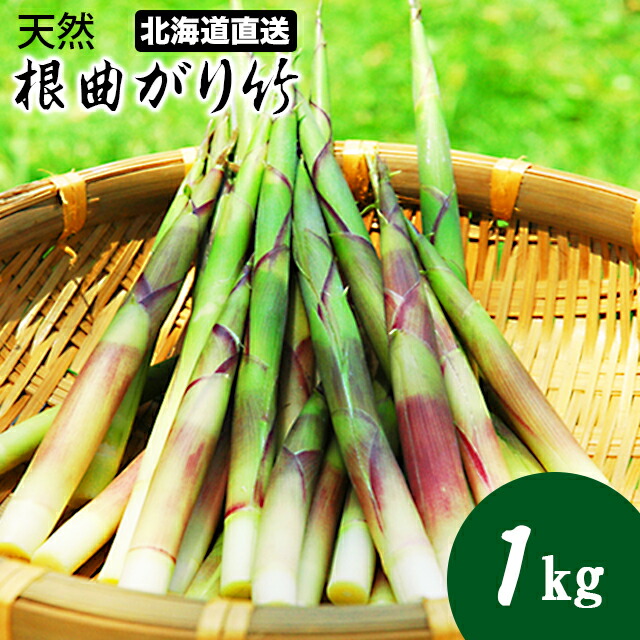 楽天市場】【今季出荷中】送料無料 幻の山菜 北海道産 天然行者 楽天市場】【今季出荷中】送料無料 幻の山菜 北海道産 天然行者