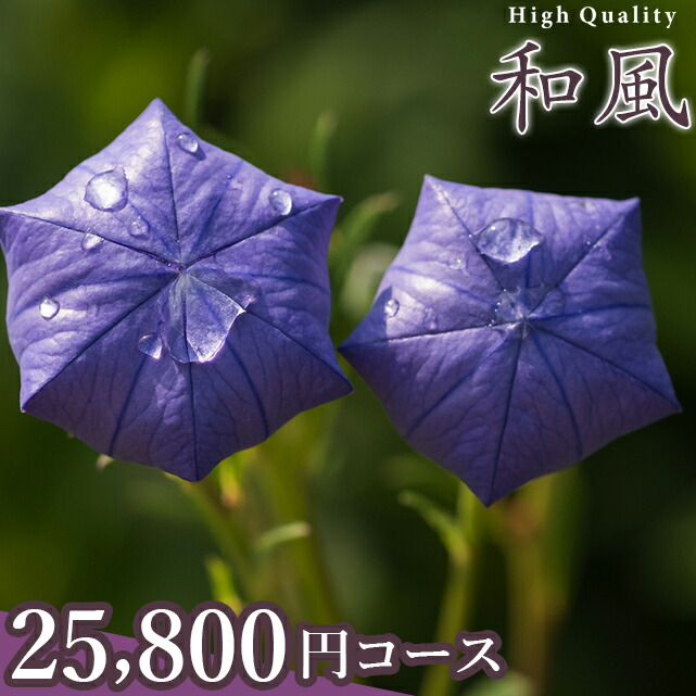 即納最大半額 カタログギフト 内祝 ギフトカタログギフト ハイクオリティ和風 25 800円コース カタログギフト 内祝い 香典返し 結婚祝い 出産祝い 御祝い 御祝い 快気祝い Card ギフト グルメ北海道 新しいコレクション Www Faan Gov Ng 即納最大半額 カタログギフト 内祝 ギフトカタログギフト ハイクオリティ和風 25 800円コース カタログギフト 内祝い 香典返し 結婚祝い 出産祝い 御祝い 御祝い 快気祝い Card ギフト グルメ北海道 新しいコレクション Www Faan Gov Ng