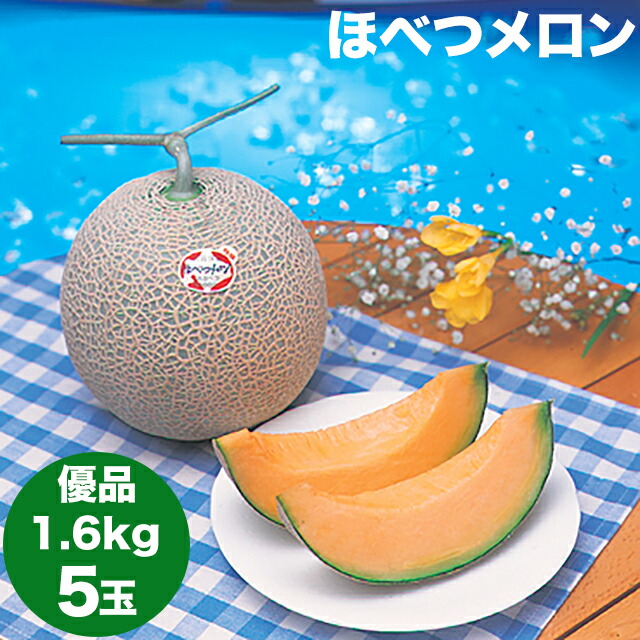 2020年ご予約承り中 7月出荷開始お中元 フルーツ メロン送料無料 北海道産メロン ほべつメロン(共選 優品 約1.6kg 5玉)【御中元 夏ギフト 暑中御見舞い JA 共撰品 正規品 穂別メロン】【ラッキーシール対応】