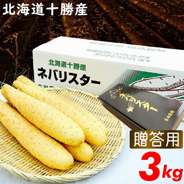 【福袋セール】 191111_nebarista01.jpg 野菜