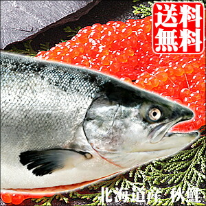 楽天市場 年ご予約承り中 9月出荷開始旬 秋鮭 ギフト送料無料 北海道産 生 秋鮭 メス 筋子付き 3 5kg 未冷凍 生 切り身 姿 直送 生 旬 サーモン 北海道沖産 鮭 しゃけ さけ サケ 秋 水産 魚 魚介 新鮮 海の幸 旬の味覚 水揚げ 今季 ギフト グルメ北海道