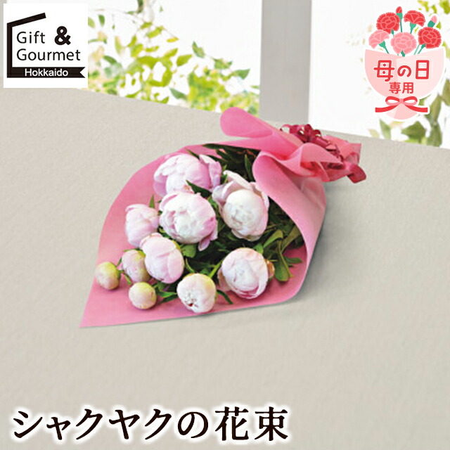 母の日 花束 花 ギフト 送料無料 【母の日専用】 シャクヤクの花束 / ははのひ 母の日プレゼント 母の日ギフト お花 はな 生花 なま花 フラワー アレンジ フラワーアレンジメント アートフラワー アート 人気 おしゃれ かわいい 30代 40代 50代 60代 70代