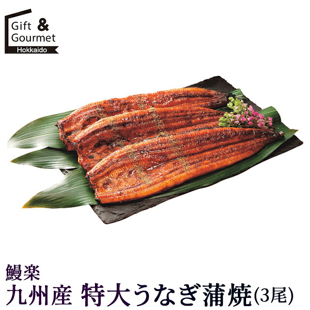 お中元 海鮮 海鮮ギフト ギフト 送料無料 鰻楽 九州産 特大うなぎ蒲焼(3尾) / 御中元 夏ギフト 暑中見舞い 鰻 ウナギ うなどん うな丼 鰻丼 かば焼き 和食 スタミナ 贈答用 ギフトセット 内祝い 御祝い 出産内祝い プレゼント｜ギフト＆グルメ北海道