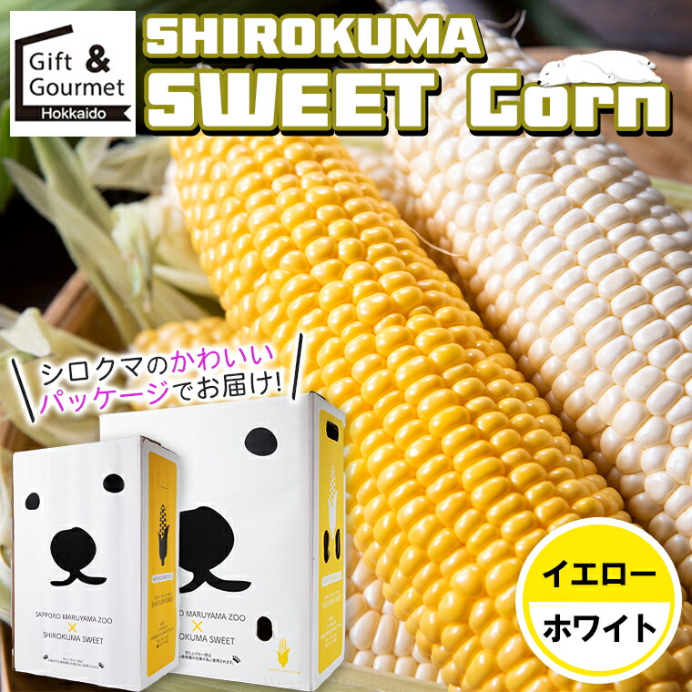 【2026年予約】とうもろこし 北海道 ギフト 送料無料 SHIROKUMA SWEET 北海道産 イエローコーン＆ホワイトコーン (6本入・10本入) / トウモロコシ とうきび 白いとうもろこし 食べ比べ ピュアホワイト ホワイトショコラ ホワイトコーン 白い 白 黄 シロクマ 夏 旬 mtpup画像