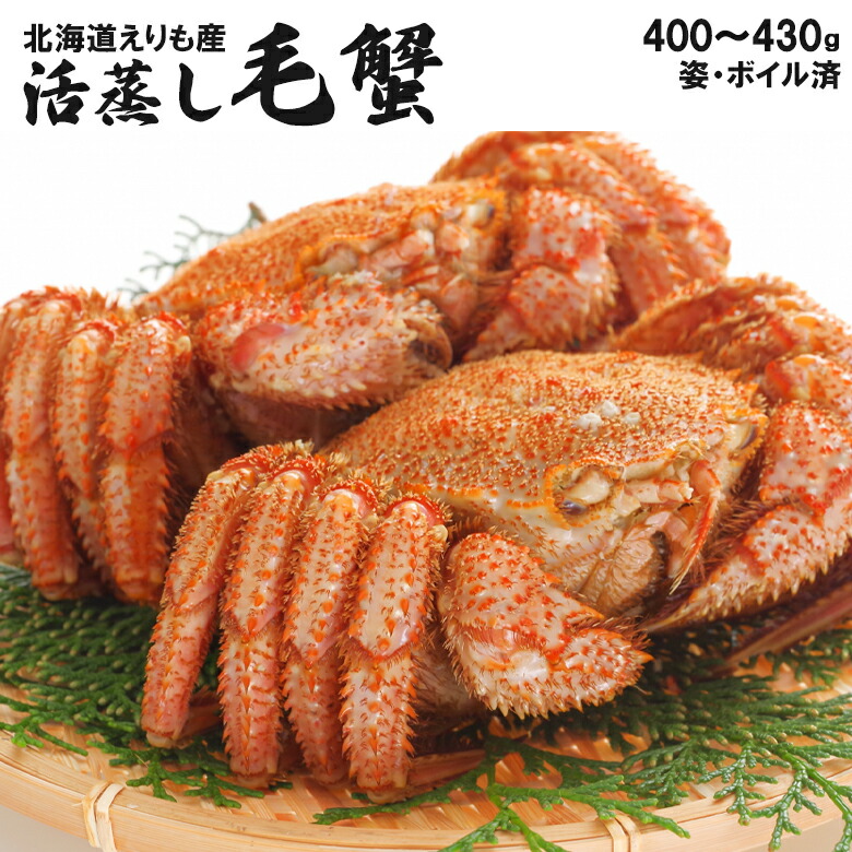 内祝い カニ かに 海鮮 ギフト<br><br>送料無料 えりも活蒸し毛蟹２尾（１尾：約400～430g）<br><br>【父の日 プレゼント お返し 内祝い 毛ガニ 毛蟹 北海道産 えりも産 国産 蟹 海の幸 贈り物 ギフトセット 直送 蒸し ボイル 北海道直送 セット】【SSS_1】