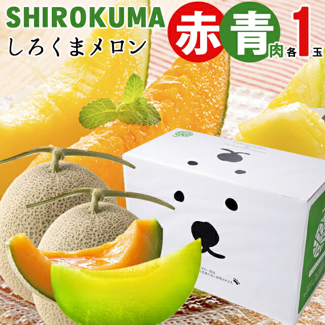 【予約】<br><br>お中元 メロン ギフト 送料無料 SHIROKUMA SWEET 北海道産 赤肉・青肉メロン 計２玉入（１玉約1.6kg 大玉 Lサイズ×各１玉）<br><br>【北海道メロン ふらの ふらのメロン 富良野メロン らいでんメロン 共撰 2個 2玉 ２個 かわいい 旬 人気 高級】 mtpup