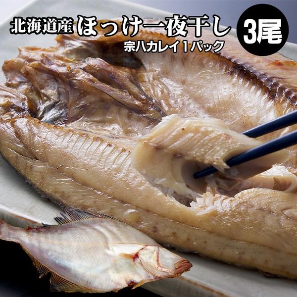 ほっけ 干物 3枚 ほっけ 一夜干し 宗八カレイ 1嚢 北海道 干物 カレイ 贈答自尊心にオススメ ギフト 差し上げ物 つけ届 内祝い お取り寄せ 貰物 贈答品 北海道直送 送料無料 メイルオーダー Maxtrummer Edu Co