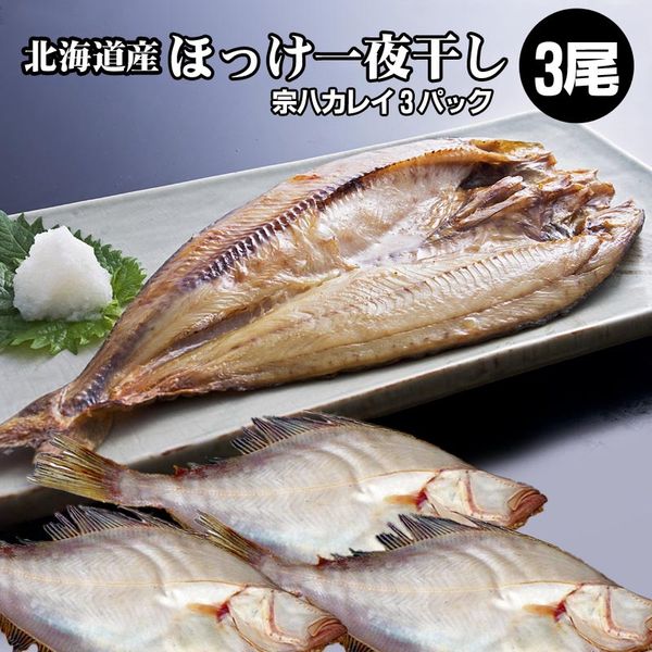 ほっけ 干物 3枚 ほっけ 一夜干し 宗八カレイ 3鞄 北海道 干物 カレイ 付届にオススメ ギフト お土産 授与 内祝い お取り寄せ 差上物 贈答高位 北海道直送 送料無料 メイルオーダー World Odyssey Com