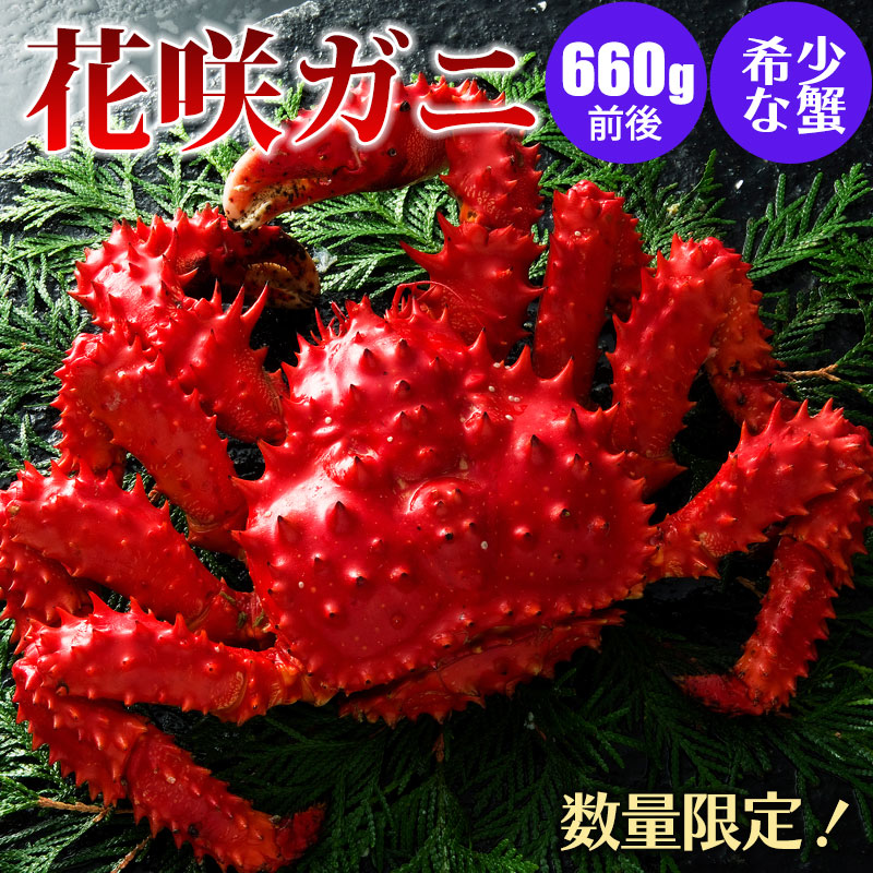 花咲ガニ 660g前後 １尾/２尾 北海道産 カニ 花咲ガニ 蟹 蟹ギフト 海鮮ギフト