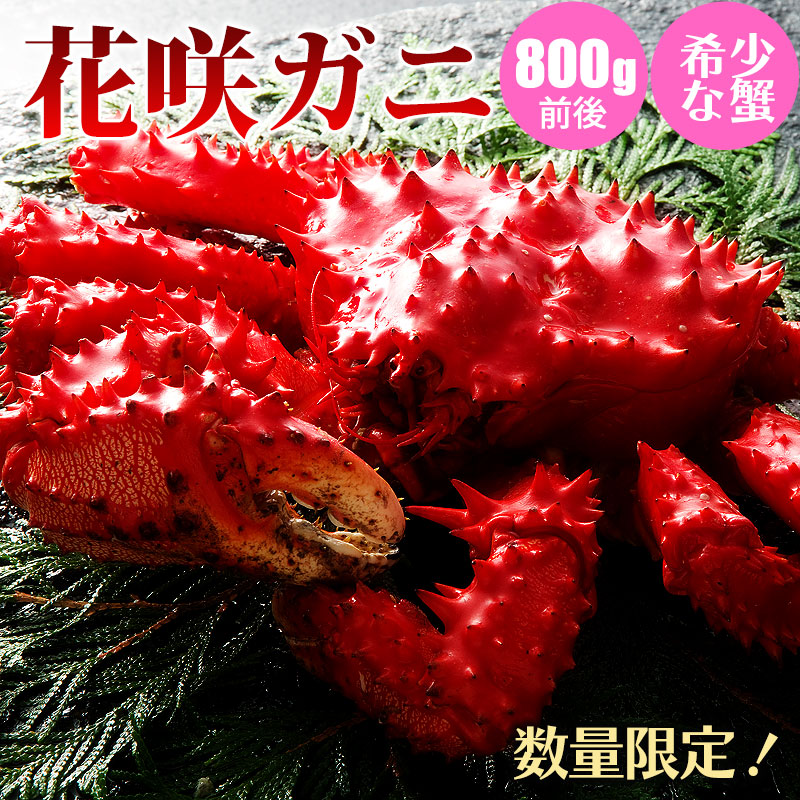 花咲ガニ 800g前後 １尾/２尾 北海道産 カニ 花咲ガニ 蟹 蟹ギフト 海鮮ギフト