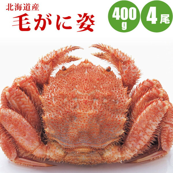 売れ筋ランキング 毛ガニ 400g × 4尾 北海道 カニ ボイル冷凍 毛蟹 お取り寄せ 蟹通販 カニ通販 冬ギフト 海鮮ギフト 父の日 お中元  御中元 暑中見舞い 夏ギフト fucoa.cl