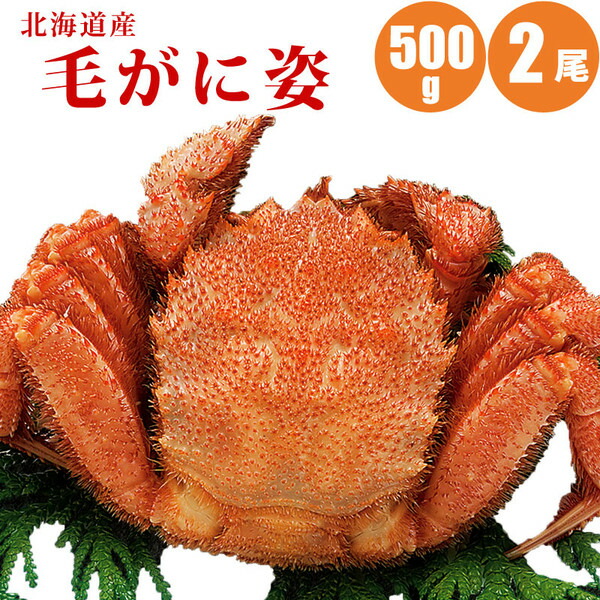 ファッション通販】 毛ガニ 500g × 2尾 ボイル冷凍 北海道 毛蟹 お取り寄せ 浜茹で 蟹 カニ お返し 冬ギフト 海鮮ギフト 父の日 お中元  御中元 暑中見舞い 夏ギフト fucoa.cl