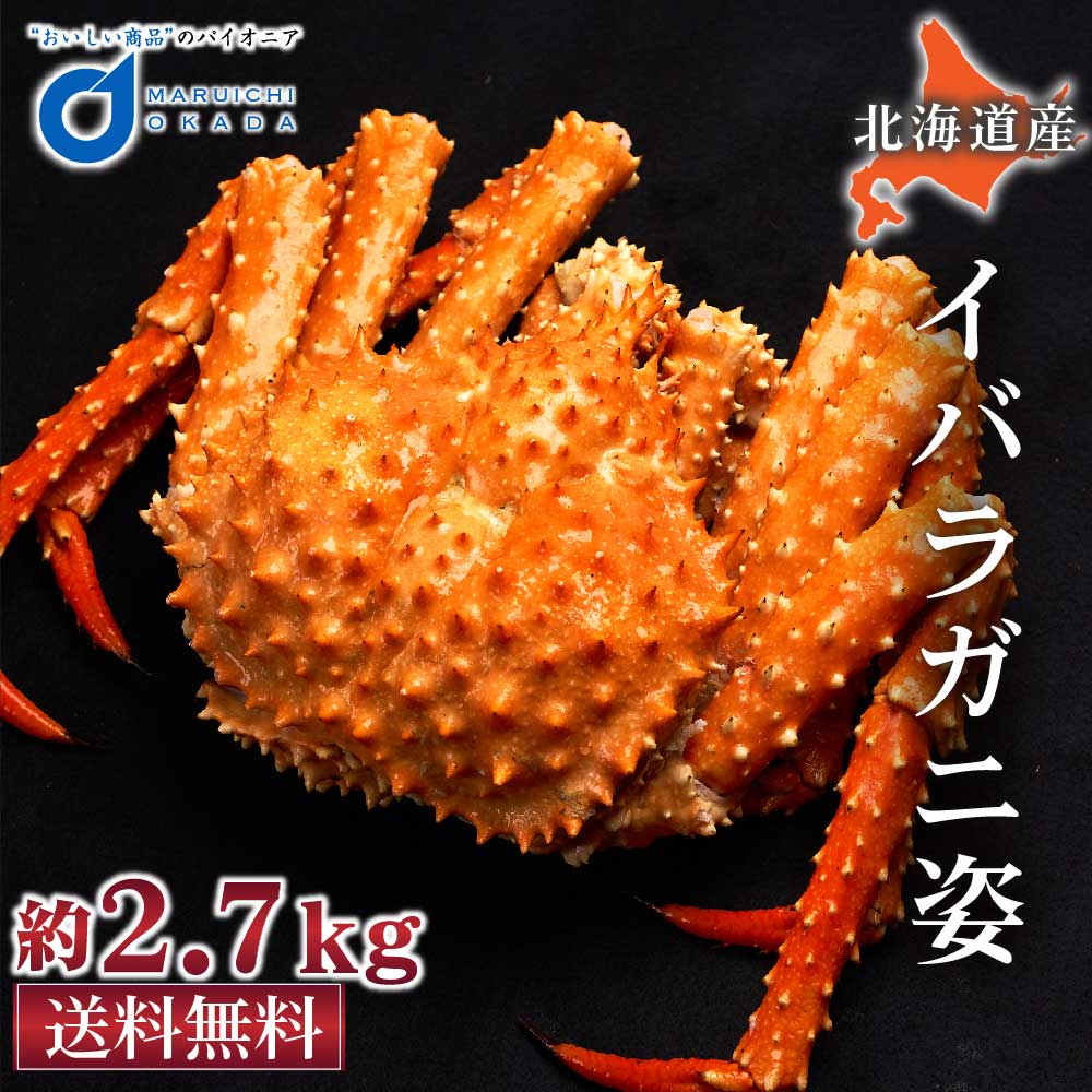 イバラガニ 姿 2 7kg前後 北海道産 いばらがに タラバガニ科 カニ かに 海鮮ギフト ギフト かに鍋 札幌場外市場 グルメ 敬老の日 全日本送料無料