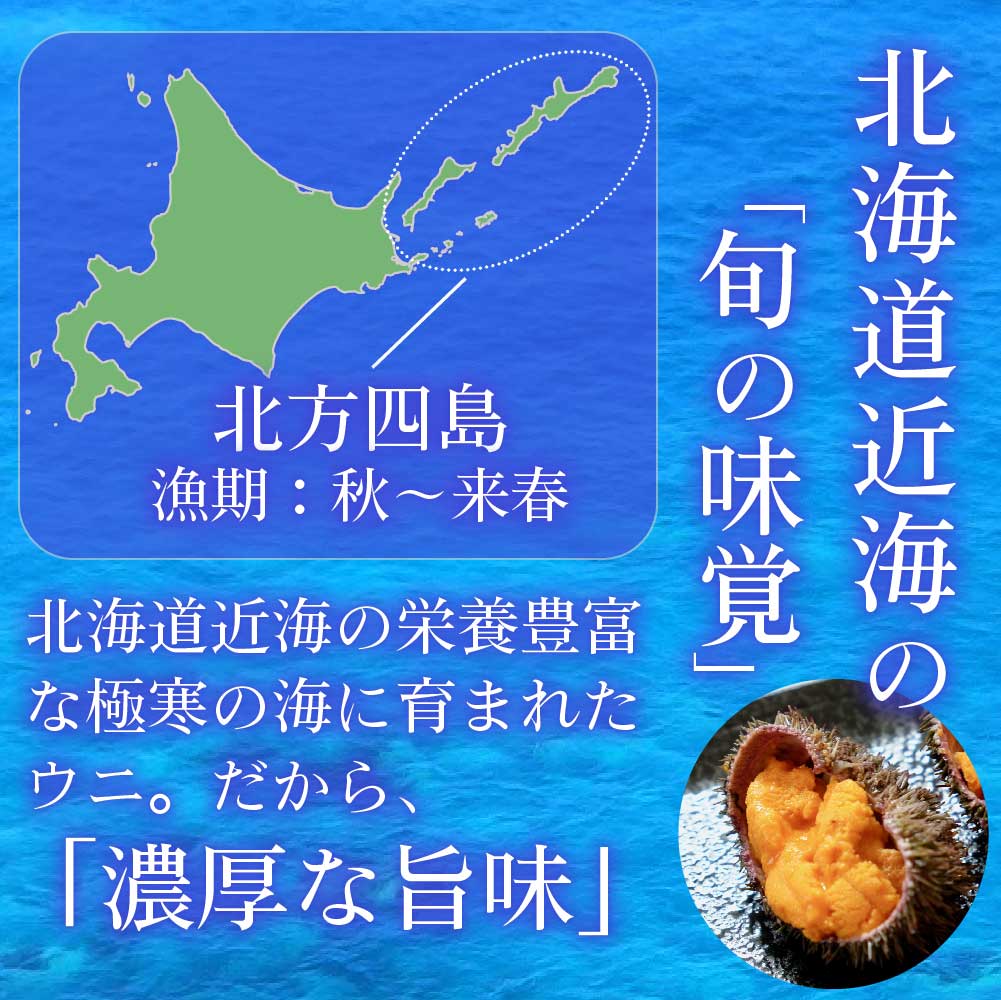 SALE／104%OFF】 送料無料 塩水うに 100gx5パック 北方四島産 バフン 生ウニ 雲丹 北海道 グルメ 場外市場 無添加 塩水パック  お中元 御中元 fucoa.cl