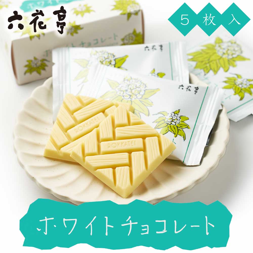 チョコページ　下敷き6枚 ベロス 下敷き リサイクルPET A6判 透明 SJA-601C 30枚