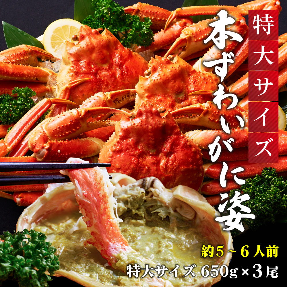 本ズワイガニ 姿 650g 3尾セット 特大 ズワイ蟹 ずわいがに ずわい蟹 カニ かに 海鮮 札幌中央卸売市場 グルメ 蟹 ずわい ズワイ ズワイガニ 蟹味噌 カニ味噌 海の幸 お祝い 【冷凍】 北海道｜北海道お土産ギフト岡田商店
