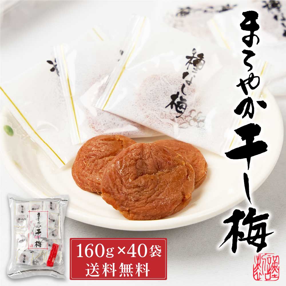セール商品 まろやか干し梅 ピロ大 160g×40袋 通販