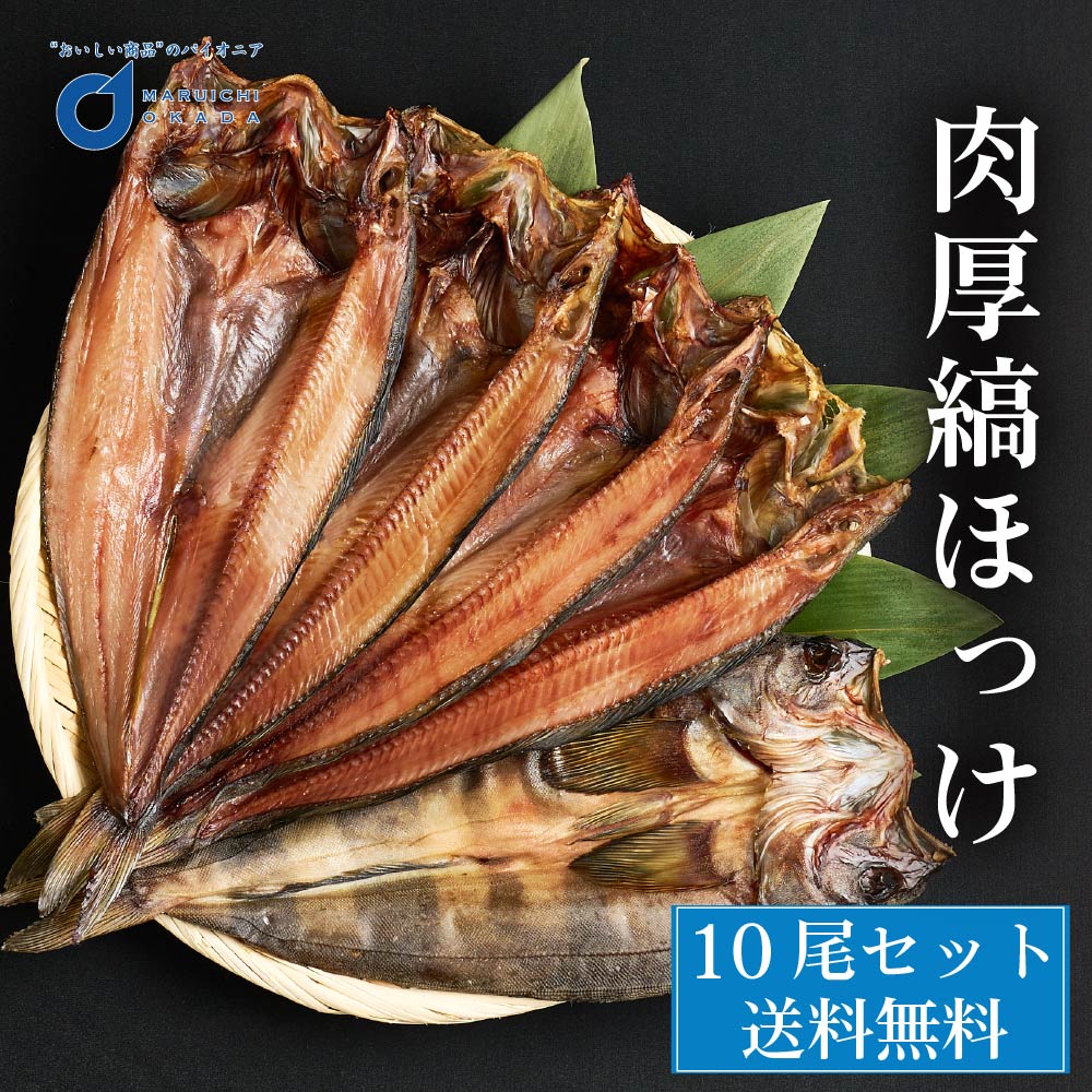 ほっけ 肉厚縞ほっけ 500ｇ前後x10枚 北海道 ほっけ 開き ホッケ 干物 北海道 場外市場直送 ギフト つまみ 食品 法華 プレゼント 遅れてごめんね 母の日 父の日 お中元
