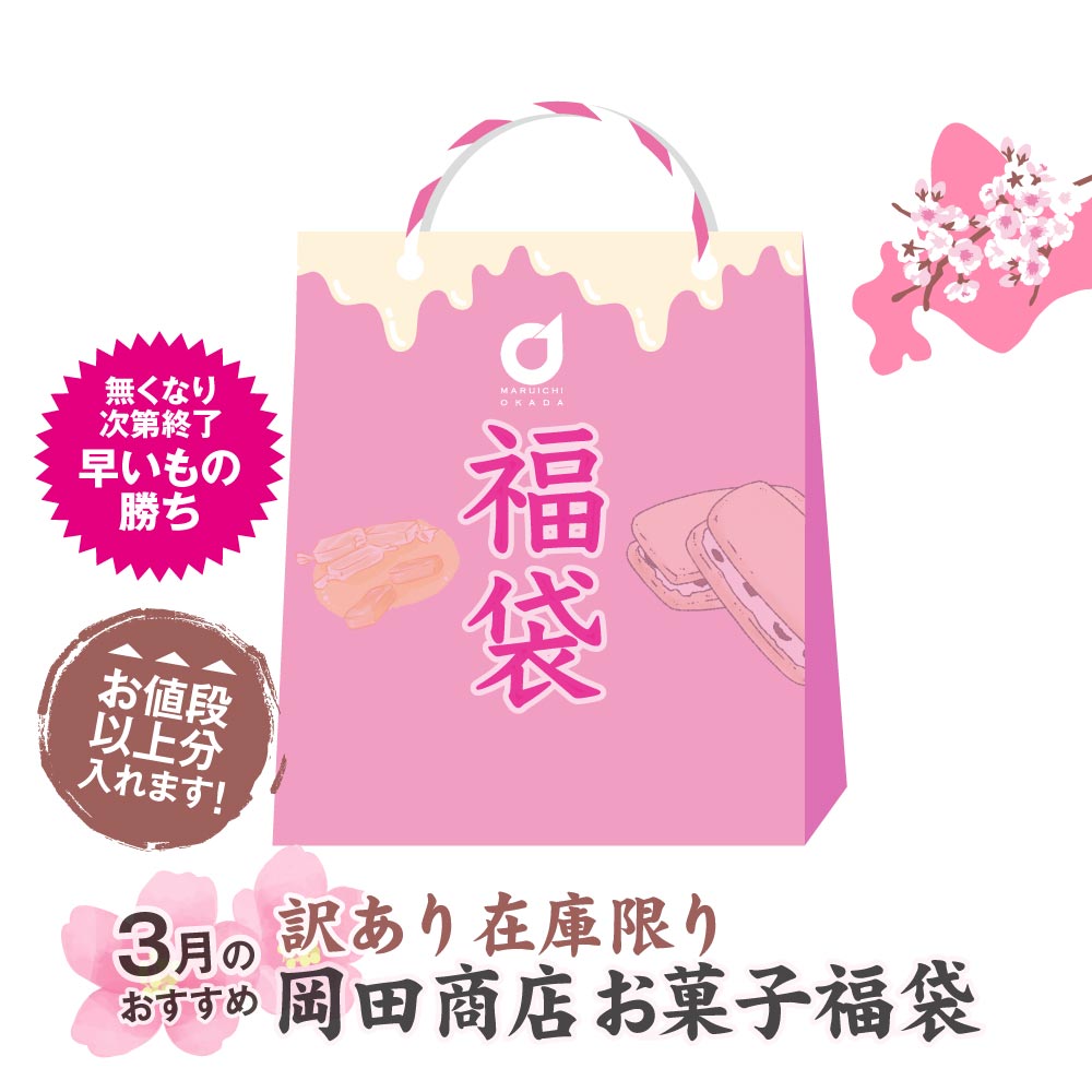 【数量限定！】店長おまかせ 北海道 お菓子 福袋 3月のおすすめ 詰め合わせ (同梱不可) 復興福袋 食品ロス 応援 母の日 ギフト プレゼント 人気 【常温】 お取り寄せ 北海道土産