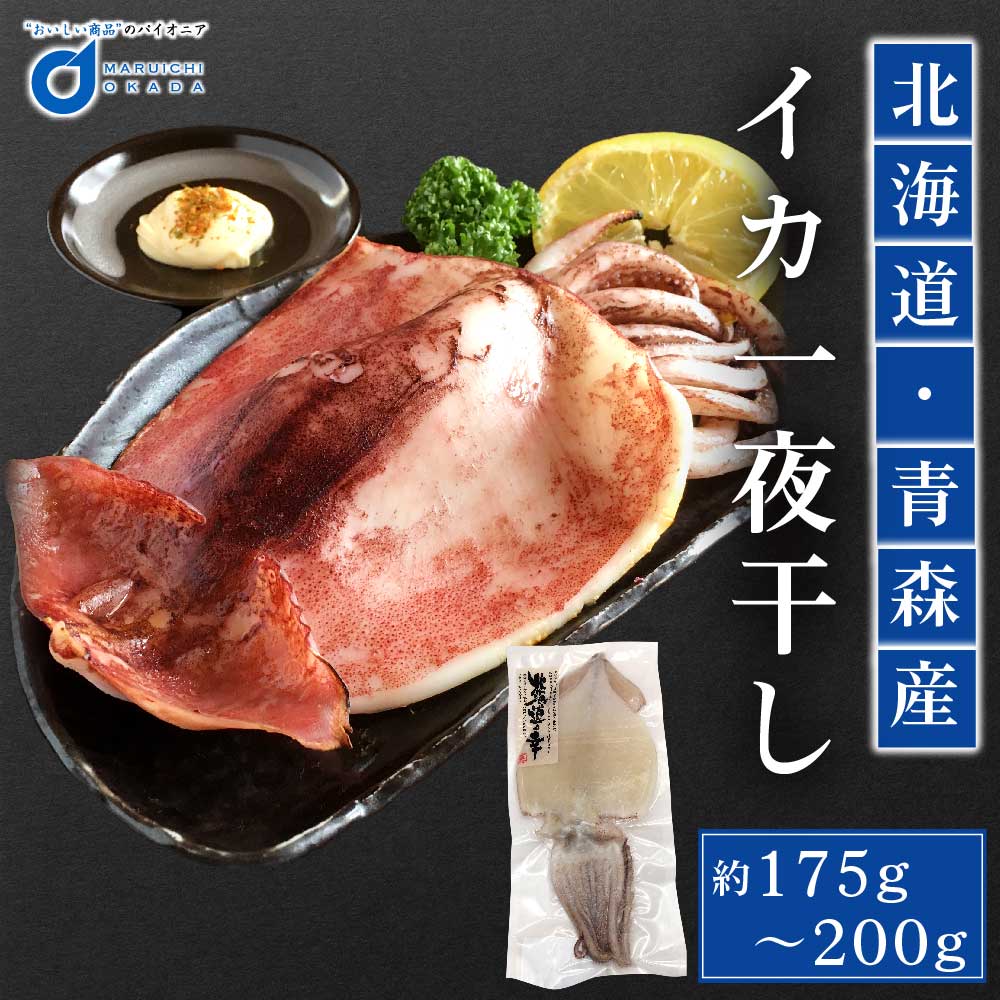 楽天市場 御中元 お中元 ギフト プレゼント イカ いか 冷凍 北海道産 青森県産 スルメイカ 一夜干し 1枚 魚介類 シーフード q バーベキュー お取り寄せ 訳あり 海鮮 北海道お土産ギフト岡田商店