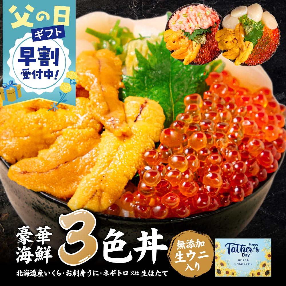 【父の日ギフト対応 早割】海鮮丼セット 北海道 豪華海鮮三色丼 海鮮丼セット 3色丼 海鮮 ギフト 刺身 冷凍  ネギトロ 冷凍 海鮮セット ウニ イクラ  送料無料 内祝い お返し 遅れてごめんね 母の日 父の日 お中元