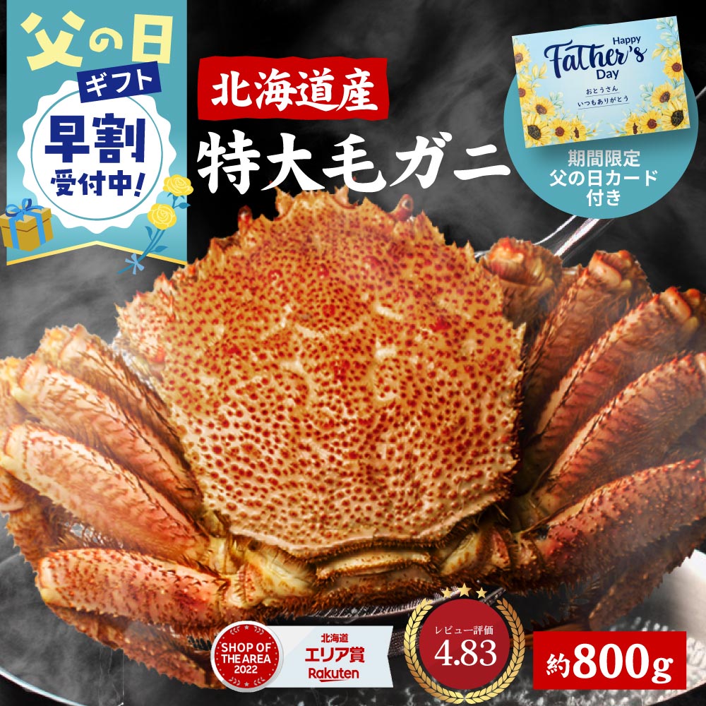 【父の日ギフト対応 早割】北海道産 毛蟹 毛ガニ 特大 毛がに 800g 送料無料 札幌 場外市場 ボイル 海鮮グルメ お取り寄せ ギフト プレゼント 遅れてごめんね 母の日 父の日 お中元