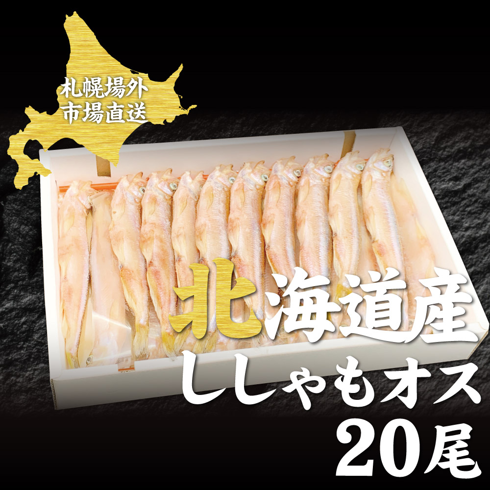 楽天市場 お歳暮 北海道産 ししゃも オス 20尾 札幌 場外市場 ボイル 卸売市場 海鮮グルメ お取り寄せ ギフト祝い エビ Ebi プレゼント 御歳暮 クリスマス 北海道お土産ギフト岡田商店