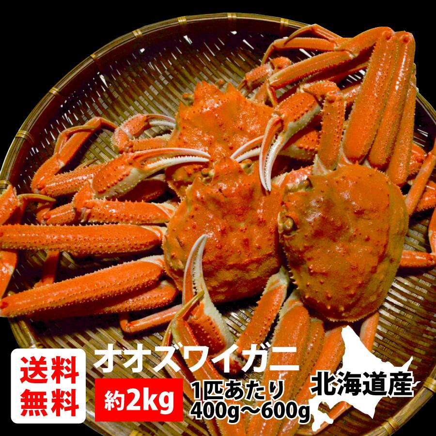 ＼店内全品PT2倍 5/23～5/27／オオズワイガ二(板あり・オス) 2kg《北海道 生産者応援 ご自宅用 料理 みそ 産地 時期 かに カニ 蟹 お買い得 seafood》
