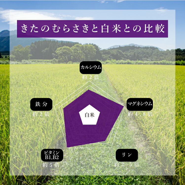 北海道産黒米 900g 黒米 雑穀 雑穀米 国産 令和3年産 北海道産 きたのむらさき 900g 送料無料 古代米 玄米無添加 無着色 送料無料 古代米  くろまい こくまい 雑穀・雑穀米
