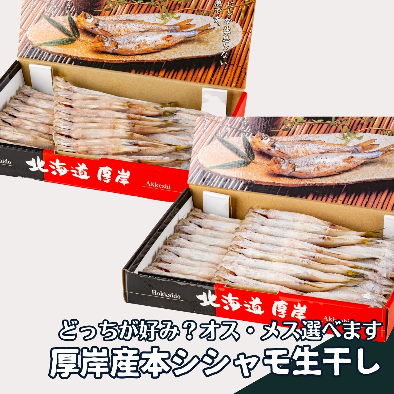 丸弘水産 本シシャモ 厚岸産 生干し オス メス 30匹 冷凍 送料無料 [17194/17195] 北海道新鮮マルシェ