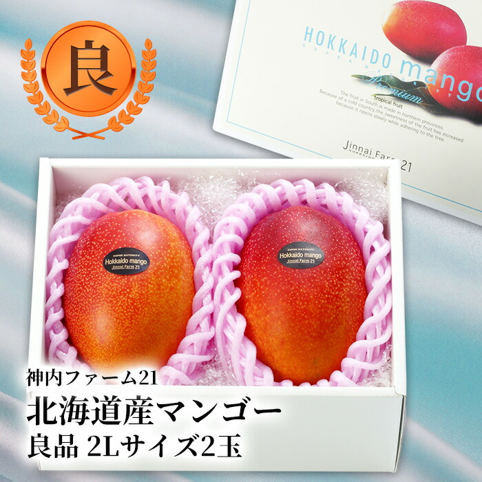 【7月中旬より発送開始】北海道産 神内マンゴー 2Lサイズ 良品 2玉 【アップルマンゴー アーウィン種】【送料無料】【着日指定可】【のし対応】【お取り寄せ】 北海道 お土産 おみやげ 神内ファーム 完熟マンゴー 贈答用